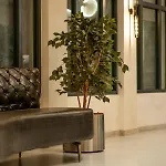 Appart hôtel Cityhome Am Kurpark 4*